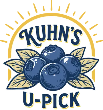 Kuhn's Blueberries Logo