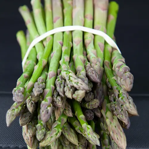 Fresh Asparagus from Kuhn's Farm